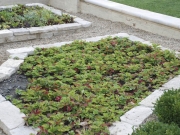 Landscape Design Services 2