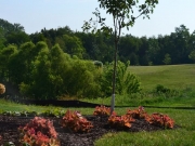Landscape Design Services 4